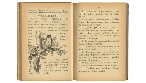 Enjeux pédagogiques