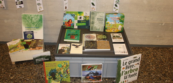 Expo, bois